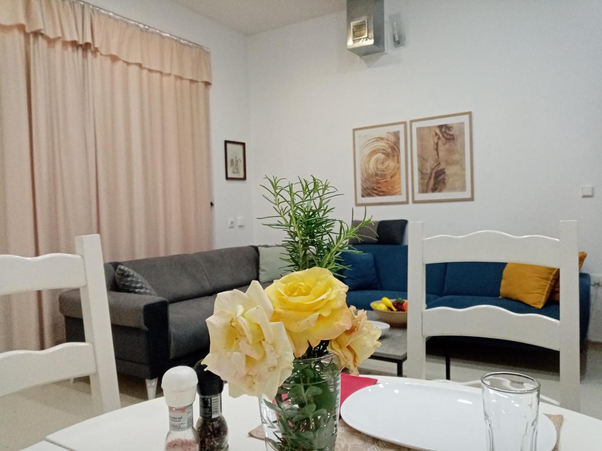 Sava & Double Apartment